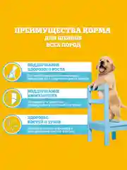 Влажный корм PEDIGREE® для щенков, говядина в соусе, 28 шт по 85г