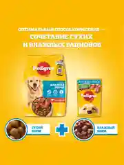 Влажный корм PEDIGREE® для собак, ягненок в желе, 28 шт по 85г