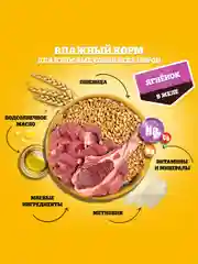 Влажный корм PEDIGREE® для собак, ягненок в желе, 28 шт по 85г
