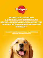 Влажный корм PEDIGREE® для собак, ягненок в желе, 28 шт по 85г