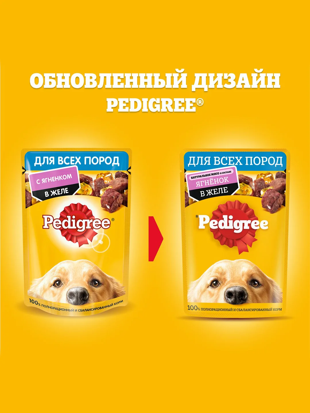 Влажный корм PEDIGREE® для собак, ягненок в желе, 28 шт по 85г