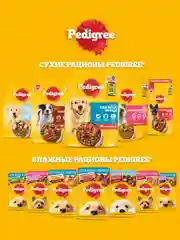 Влажный корм PEDIGREE® для собак, ягненок в желе, 28 шт по 85г