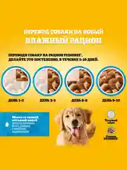 Влажный корм PEDIGREE® для собак, ягненок в желе, 28 шт по 85г