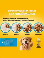Влажный корм PEDIGREE® для собак, телятина и печень в желе, 28 x 85г