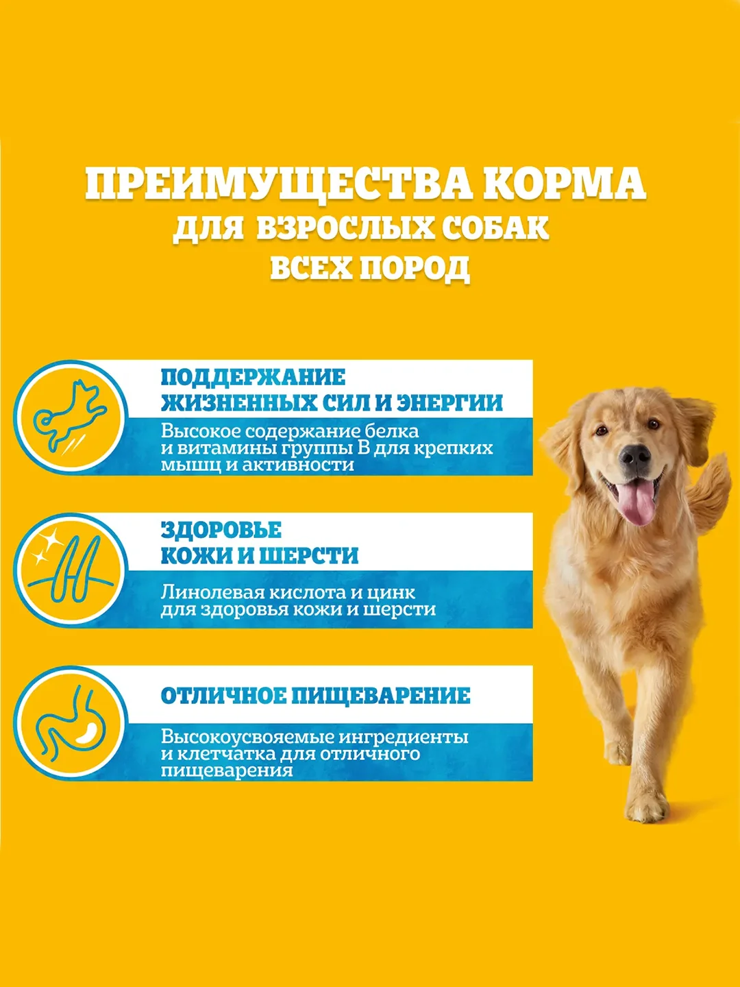 Влажный корм PEDIGREE® для собак, телятина и печень в желе, 28 x 85г