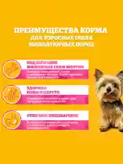 Влажный корм PEDIGREE® для миниатюрных собак, паштет с курицей, 28x80г