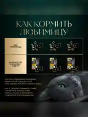 Влажный корм для кошек SHEBA® Нежный паштет в желе, с индейкой, 28 шт по 75г