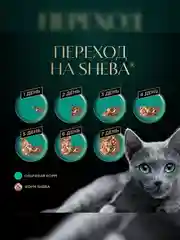 Влажный корм для кошек SHEBA® Нежный паштет в желе, с индейкой, 28 шт по 75г