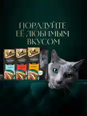 Влажный корм для кошек SHEBA® Нежный паштет в желе, с индейкой, 28 шт по 75г