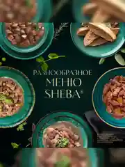 Влажный корм для кошек SHEBA® Нежный паштет в желе, с индейкой, 28 шт по 75г
