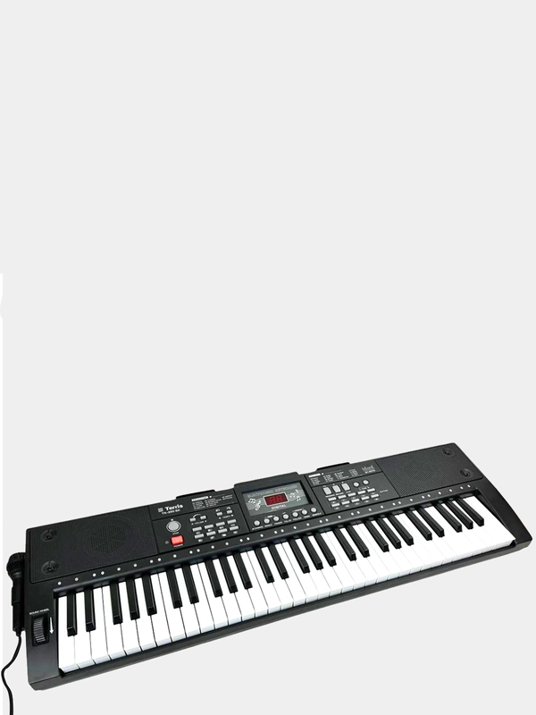Синтезатор детский Terris TK-250 BK