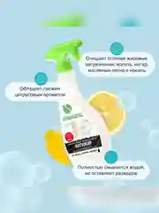 Универсальное средство для кухонных поверхностей «Антижир» SYNERGETIC 0,5л