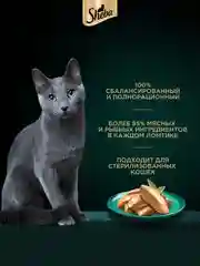Влажный корм для кошек SHEBA® Нежный паштет в желе, с курицей, 28 шт по 75г