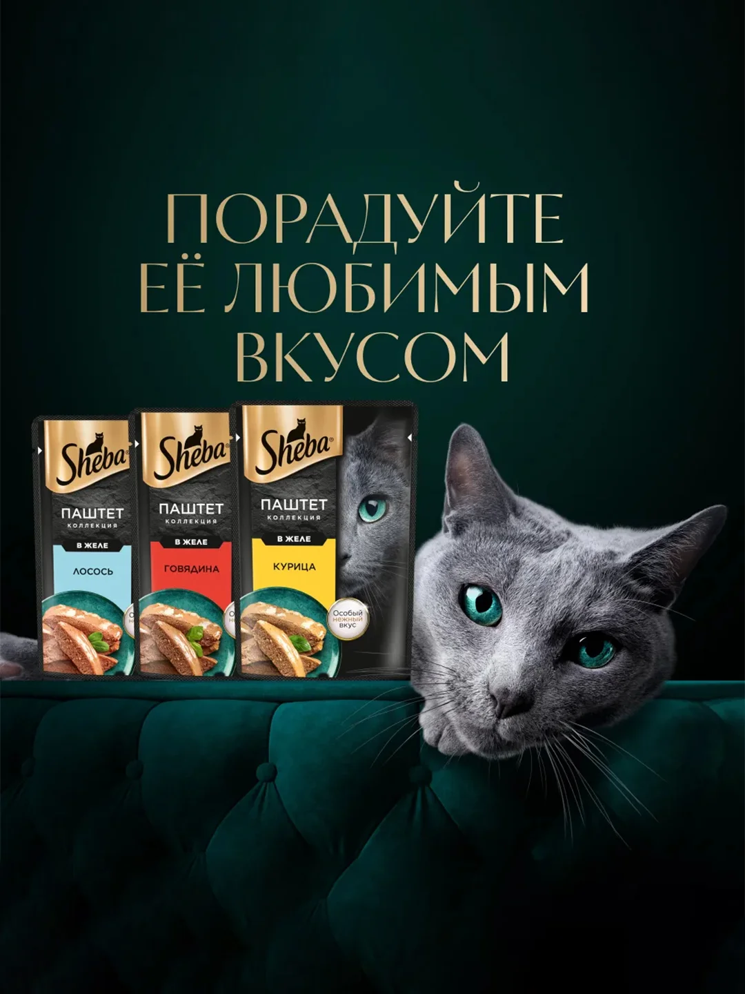 Влажный корм для кошек SHEBA® Нежный паштет в желе, с курицей, 28 шт по 75г