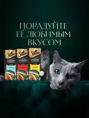 Влажный корм для кошек SHEBA® Нежный паштет в желе, с курицей, 28 шт по 75г