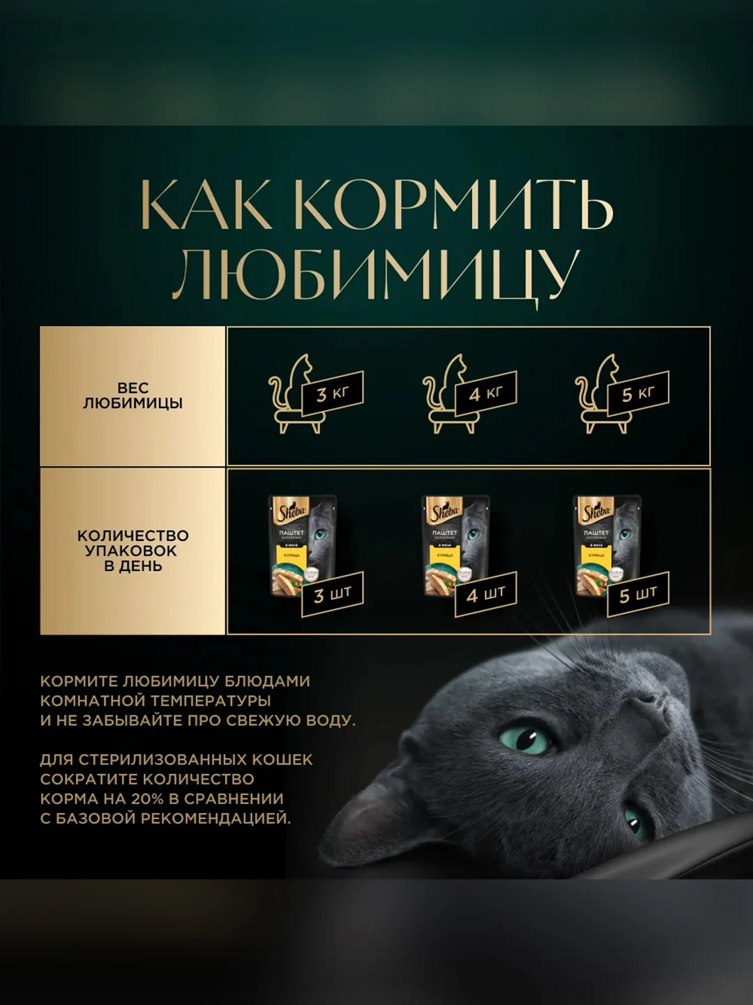 Влажный корм для кошек SHEBA® Нежный паштет в желе, с курицей, 28 шт по 75г