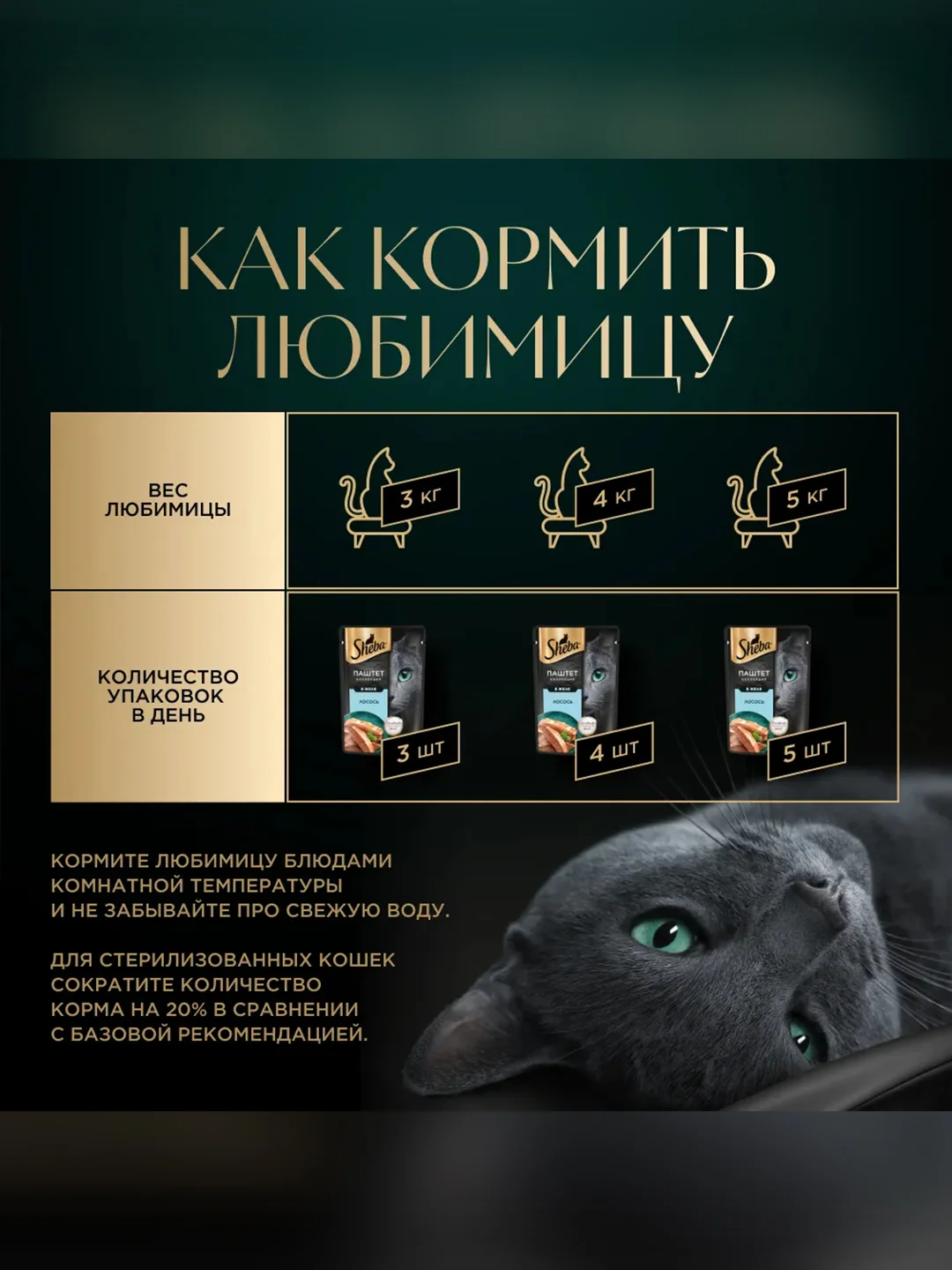 Влажный корм для кошек SHEBA® Нежный паштет в желе, с лососем, 28 шт по 75г