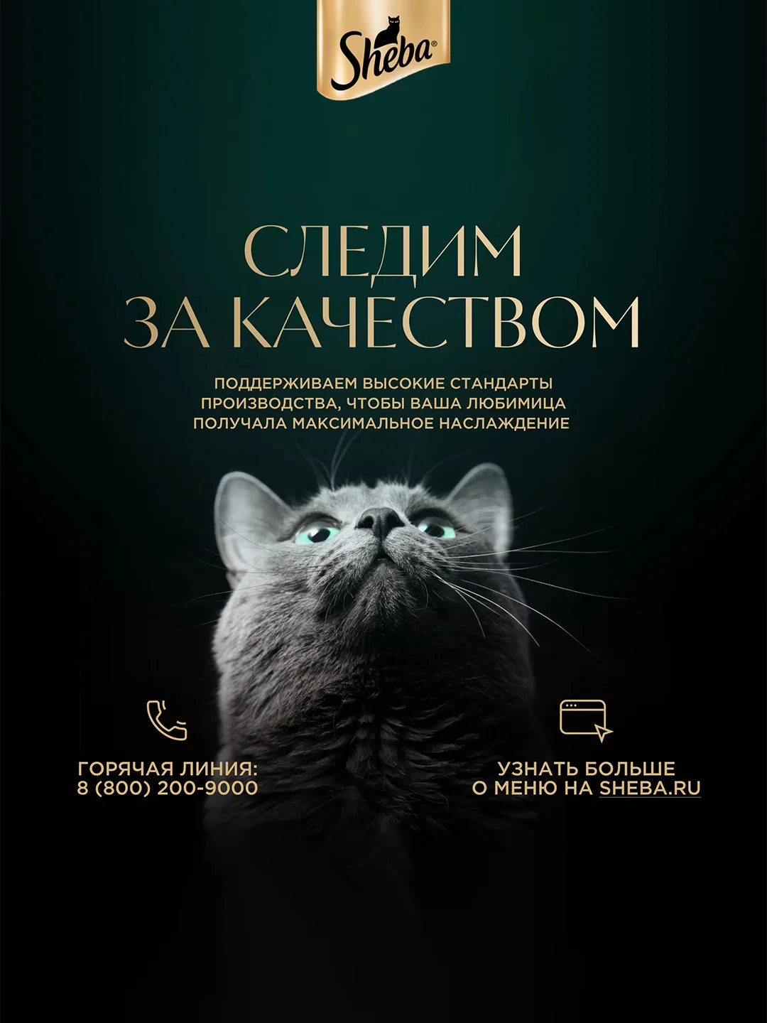 Влажный корм для кошек SHEBA® с форелью. «Ломтики в желе. Форель», 28 шт по 75г