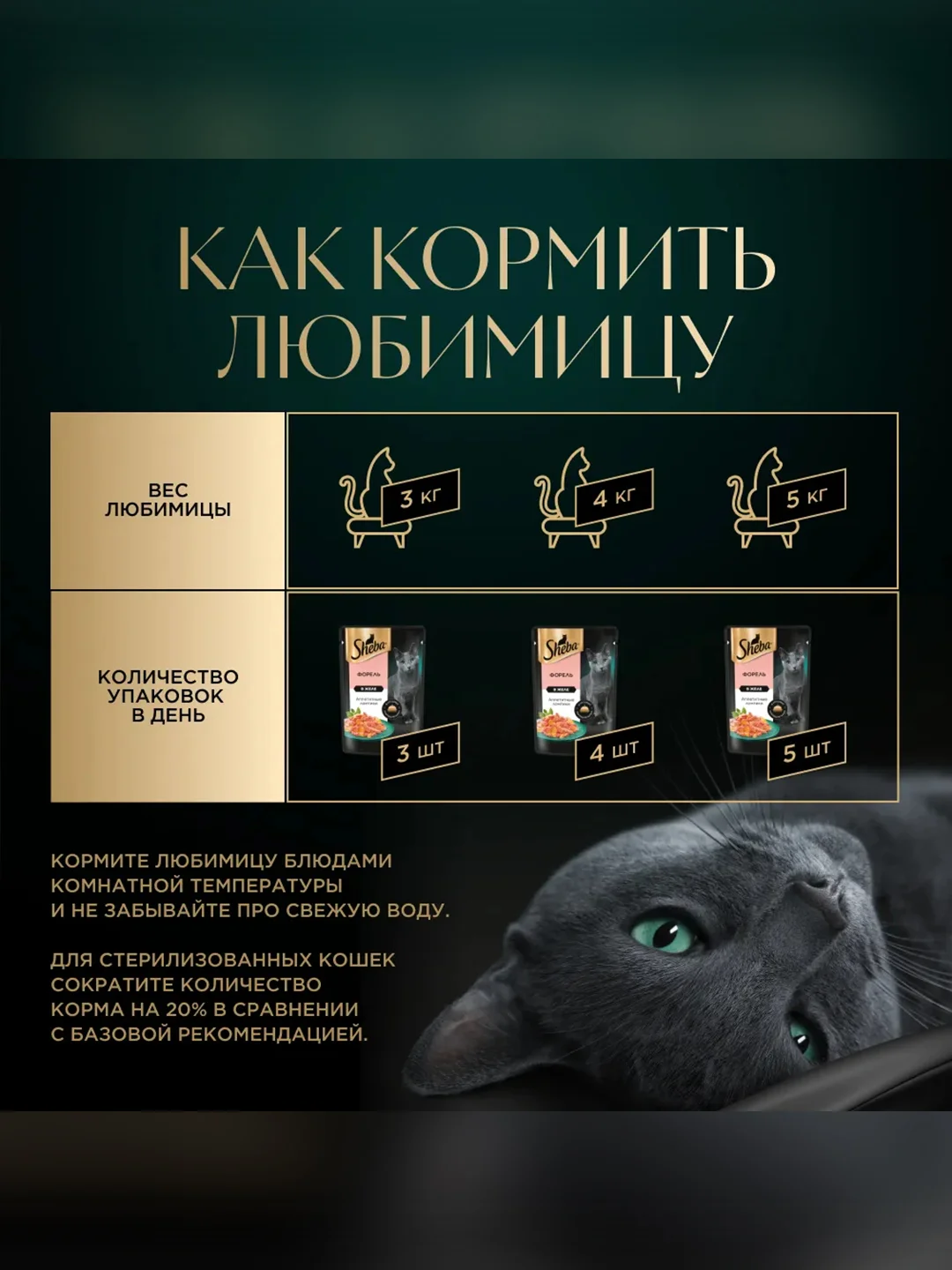 Влажный корм для кошек SHEBA® с форелью. «Ломтики в желе. Форель», 28 шт по 75г