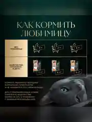 Влажный корм для кошек SHEBA® с форелью. «Ломтики в желе. Форель», 28 шт по 75г