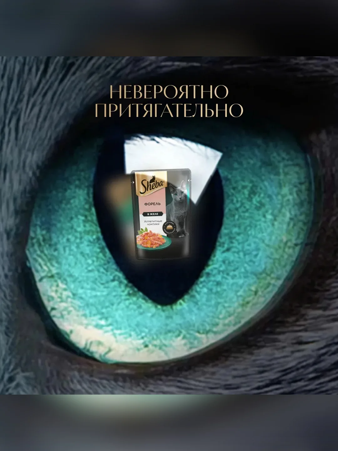 Влажный корм для кошек SHEBA® с форелью. «Ломтики в желе. Форель», 28 шт по 75г
