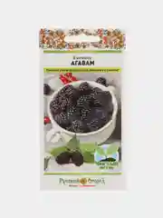 Ежевика Агавам (семена)