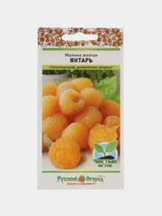 Малина желтая Янтарь (семена)
