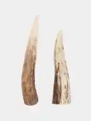 2 Рога северного оленя 14-16 см, для мелких и средних пород собак, 160-230 гр