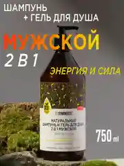 Шампунь и гель для душа 2 в 1 SYNERGETIC для мужчин "Энергия и сила", бессульфатный, 750мл