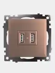 Розетка двухместная USB Stekker Катрин GLS10-7115-02, 250 В, 2.1 А, шампань