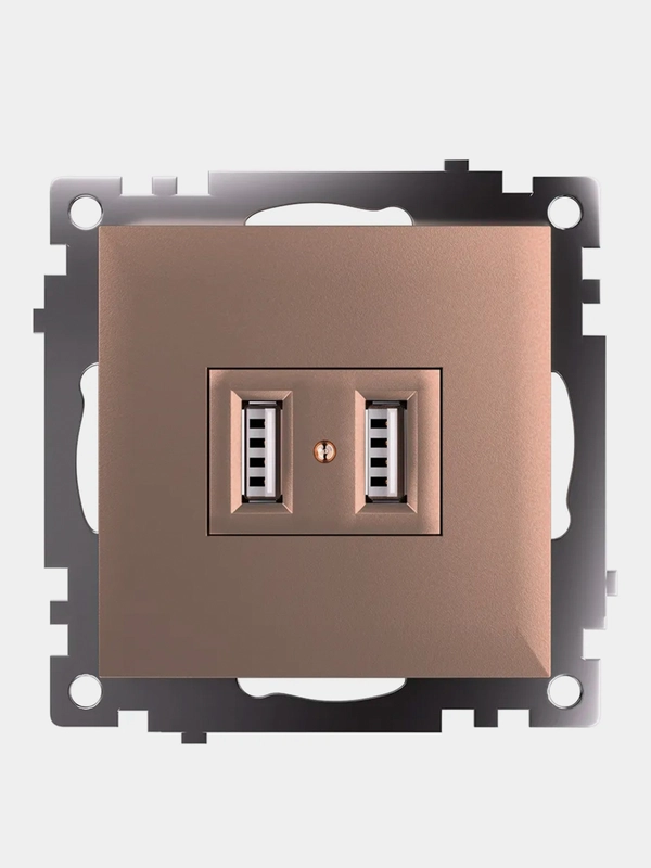 Розетка двухместная USB Stekker Катрин GLS10-7115-02, 250 В, 2.1 А, шампань