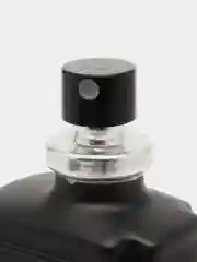Corania Туалетная вода Shaman 100 мл