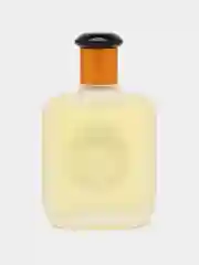 Туалетная вода Evaflor Whisky, 100 мл