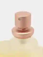 Туалетная вода Evaflor Whisky, 100 мл