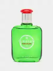 Evaflor Туалетная вода Whisky Origin, 100 мл