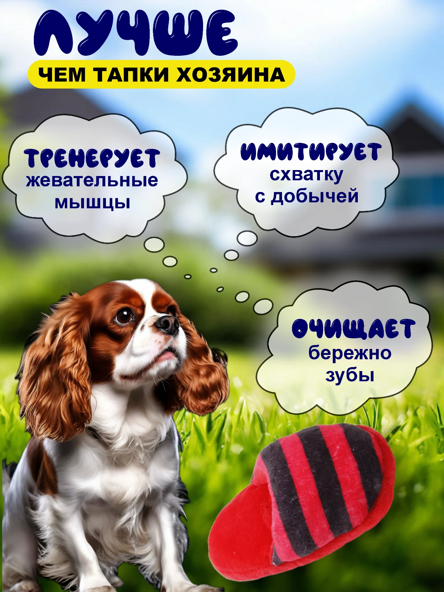 Игрушка для собак, тапочек с пищалкой