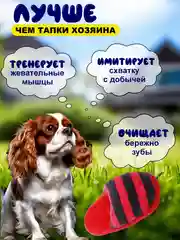 Игрушка для собак, тапочек с пищалкой