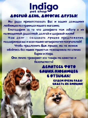 Игрушка для собак, тапочек с пищалкой