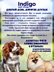 Игрушка для собак, тапочек с пищалкой