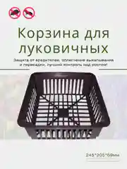 Корзина для луковичных круглая, квадратная, защита от вредителей, уход за растениями