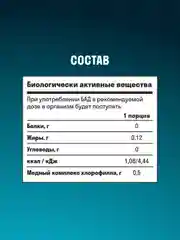 БАД к пище LeafToGo Хлорофилл, жидкий, 500 мл