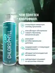 БАД к пище LeafToGo Хлорофилл, жидкий, 500 мл