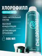 БАД к пище LeafToGo Хлорофилл, жидкий, 500 мл