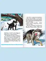 Книга для детей Внеклассное чтение "Рассказы русских писателей" 128 стр. Проф-Пресс