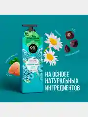Парфюмированный гель для душа OnTheBody NATURE GARDEN, 500мл