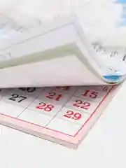 Белый календарь на магните на 2025 год. 20 видов