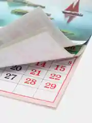 Бордовый календарь на магните на 2025 год. 20 видов