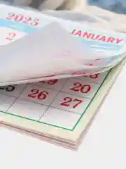 Вишнёвый календарь на магните на 2025 год. 20 видов