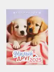 Вишнёвый календарь на магните на 2025 год. 20 видов