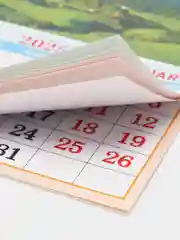Зелёный хаки календарь на магните на 2025 год. 20 видов